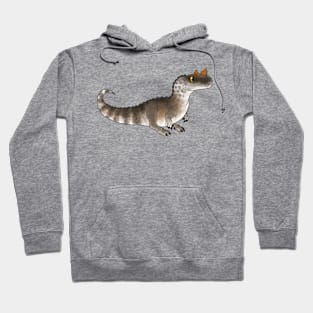 Cute Ceratosaurus Hoodie